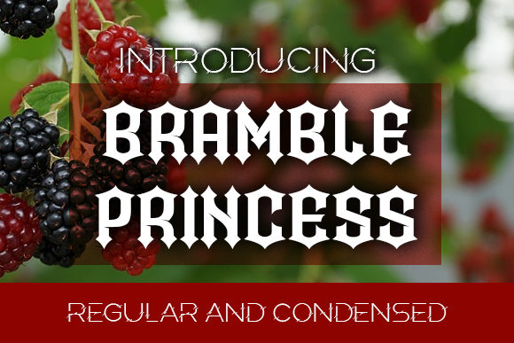 Bramble Princess Font: A Bold Blackletter for Creative Makers