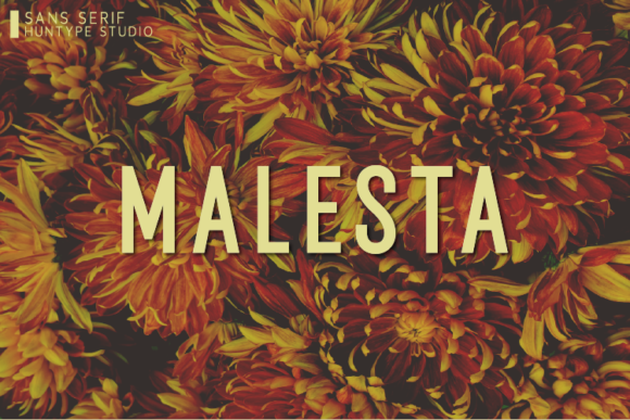 Malesta: A Bold and Futuristic Font for Modern Branding